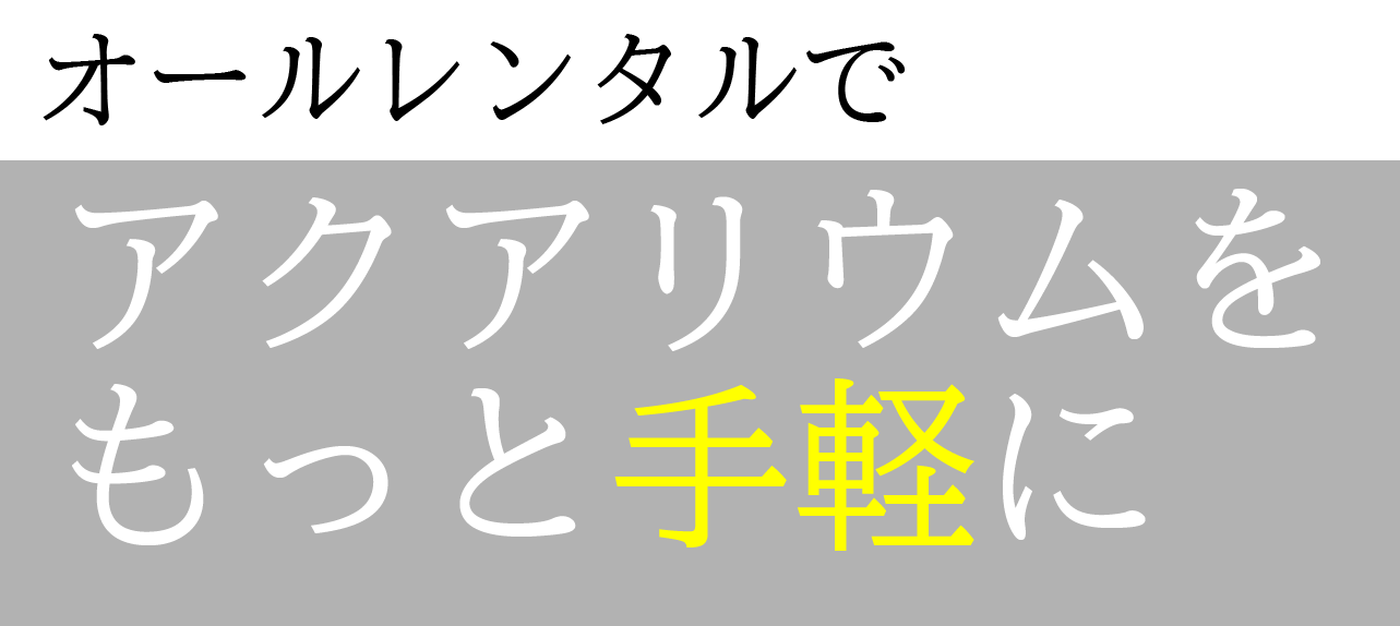 オールレンタルでアクアリウムをもっと手軽に